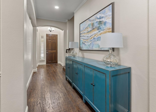 foyer entrance featuring dark wood-type flooring and crown molding