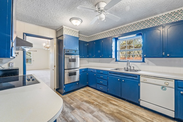 kitchen with white dishwasher, black electric cooktop, sink, blue cabinets, and ornamental molding