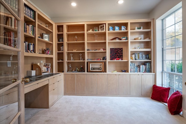 home office with light carpet