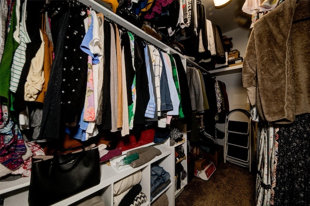 spacious closet featuring carpet flooring