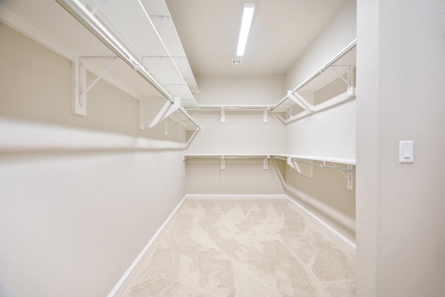 walk in closet featuring carpet flooring