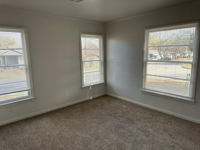 carpeted spare room featuring a wealth of natural light and ornamental molding