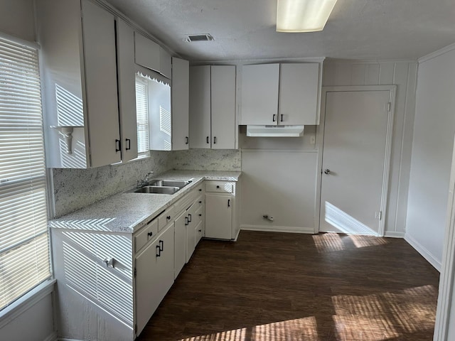 kitchen featuring light stone counters, sink, white cabinets, and dark wood-type flooring