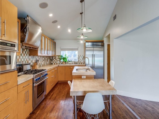 kitchen with vaulted ceiling, premium appliances, extractor fan, sink, and an island with sink