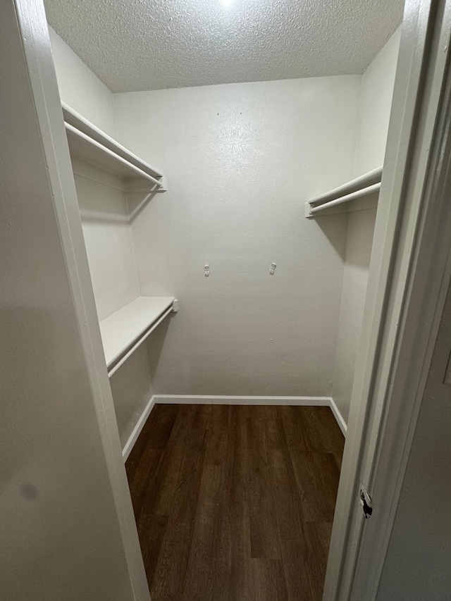 walk in closet with dark hardwood / wood-style flooring