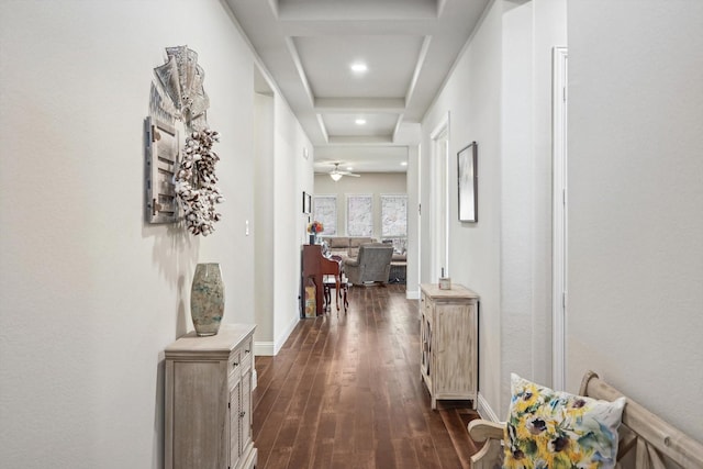 corridor with dark wood-type flooring