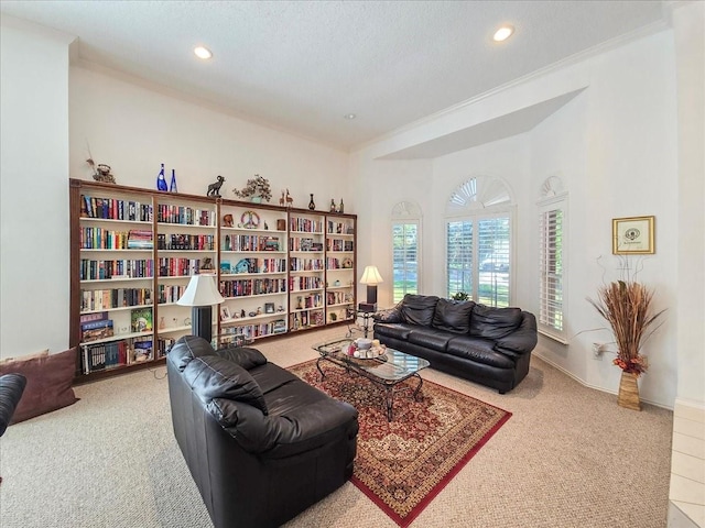 sitting room featuring carpet, crown molding, and a textured ceiling