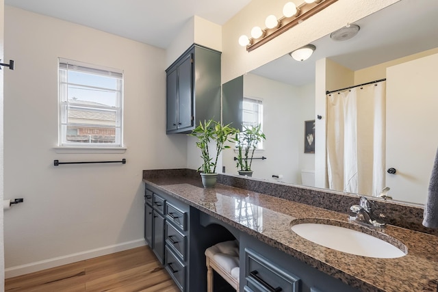 bathroom featuring plenty of natural light, wood-type flooring, toilet, and vanity