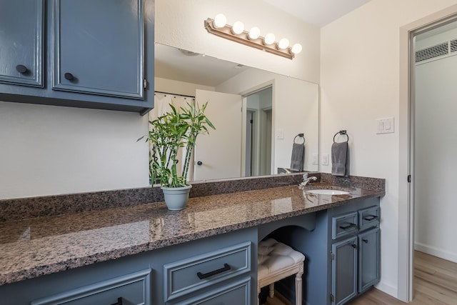 bathroom with wood-type flooring and vanity