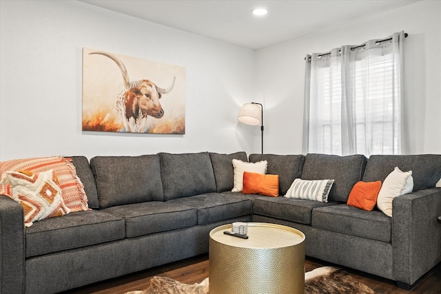 living area featuring wood finished floors and recessed lighting