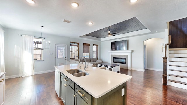 kitchen with sink, a raised ceiling, a kitchen island with sink, and gray cabinets