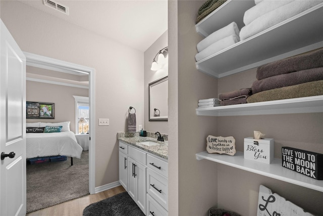 bathroom with wood-type flooring and vanity