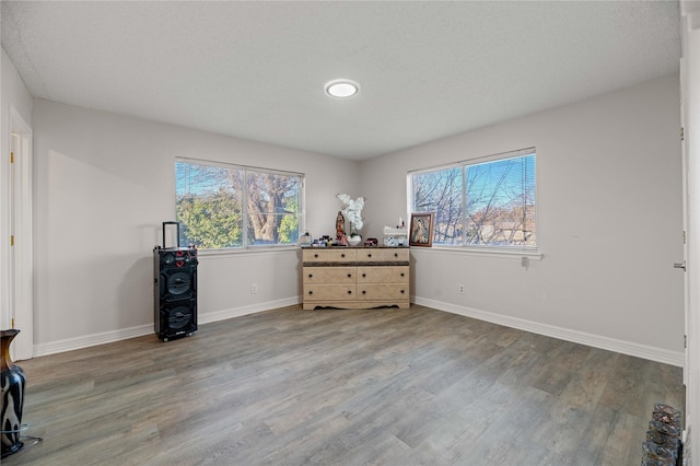 interior space with wood-type flooring and multiple windows