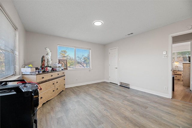 interior space with wood-type flooring