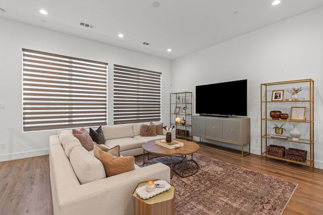 living room featuring a healthy amount of sunlight and wood-type flooring