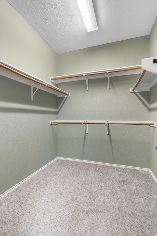 walk in closet with carpet flooring