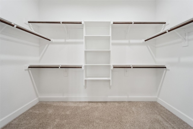 walk in closet featuring carpet flooring