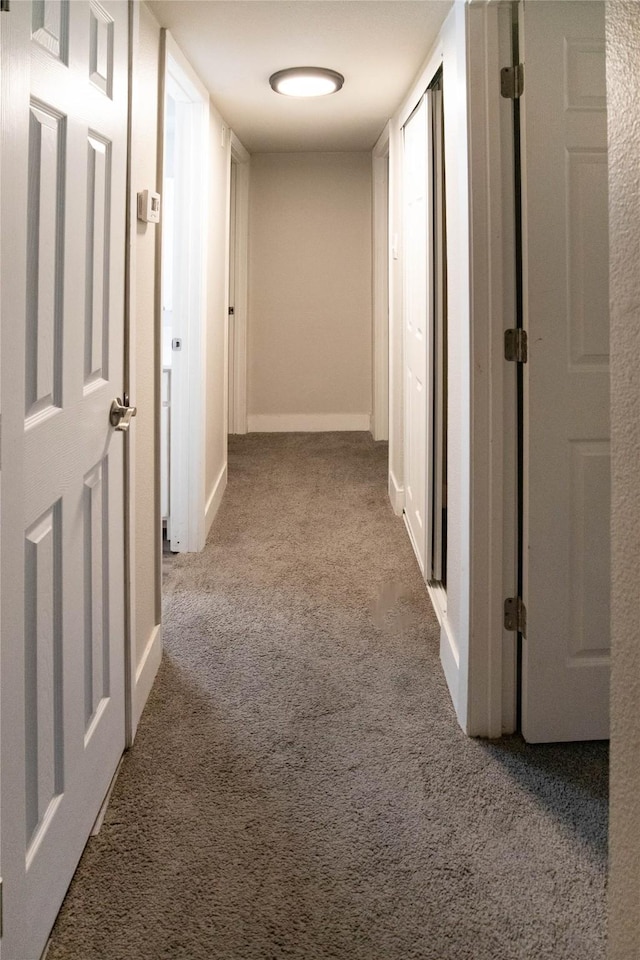 hallway with carpet