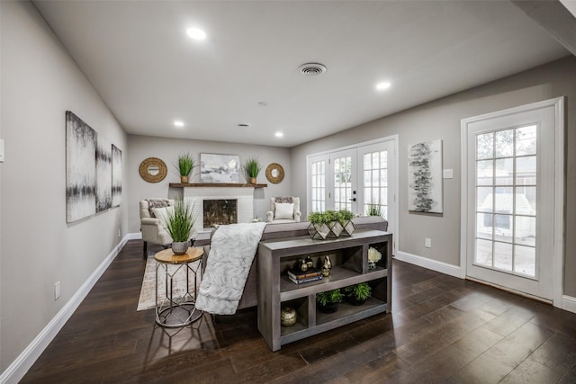 living room with french doors, a healthy amount of sunlight, dark hardwood / wood-style floors, and a fireplace