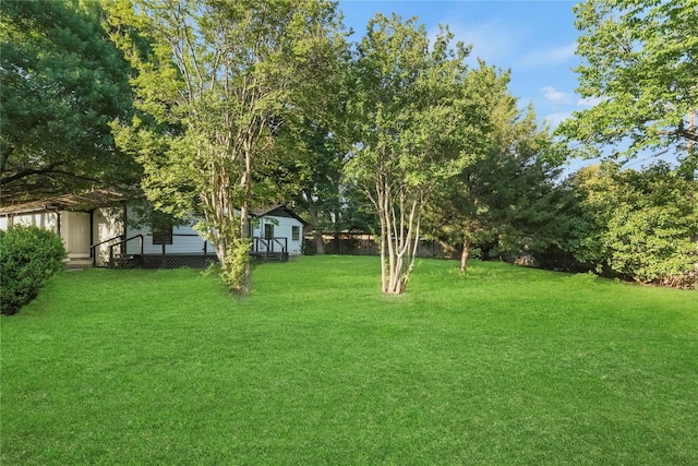 view of yard featuring a storage shed