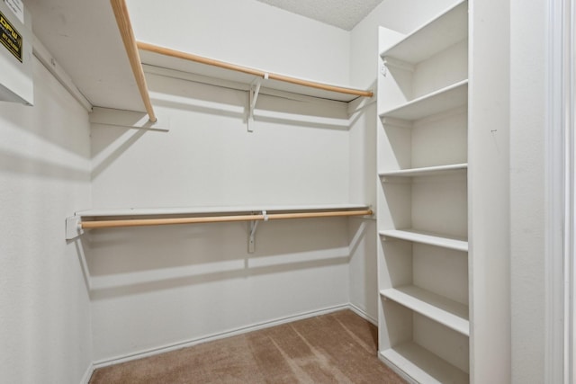 spacious closet featuring carpet flooring