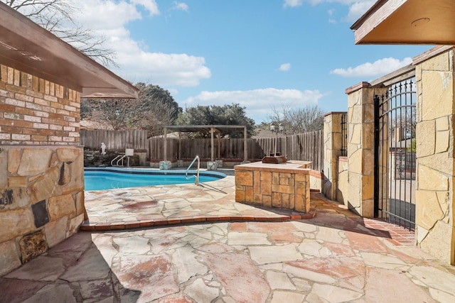 view of pool with a patio