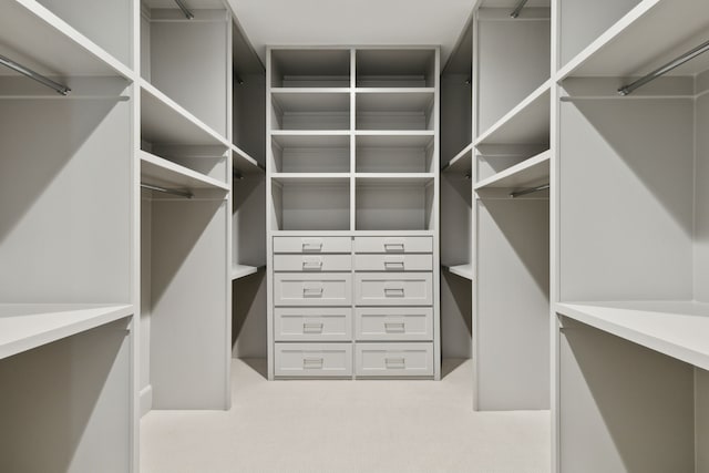 walk in closet featuring carpet flooring