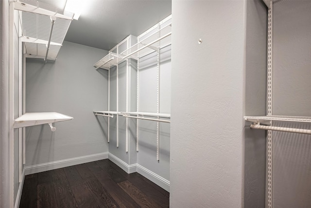 spacious closet featuring dark hardwood / wood-style flooring