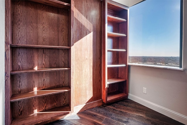 walk in closet featuring dark hardwood / wood-style floors