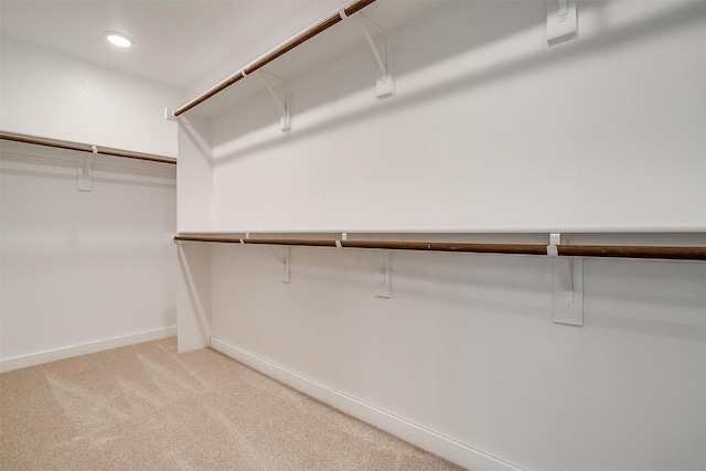 walk in closet with carpet flooring