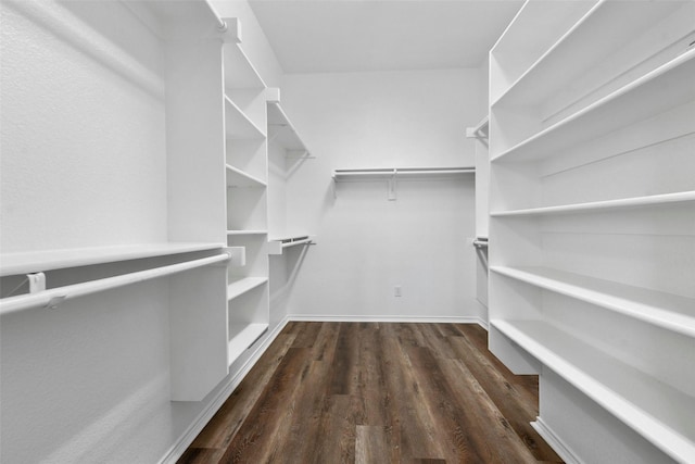 walk in closet with dark hardwood / wood-style flooring