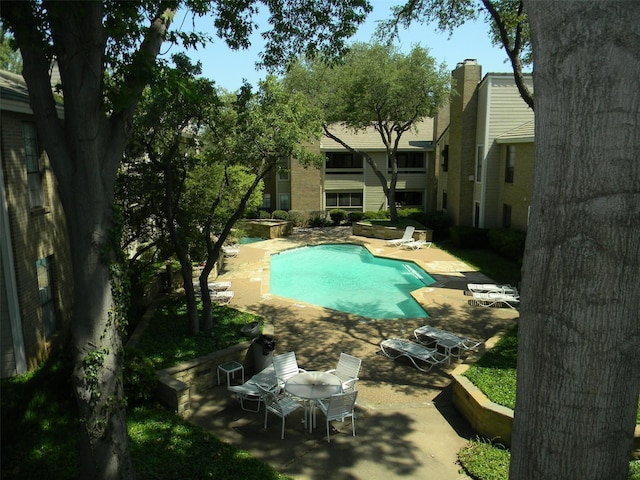 view of pool featuring a patio area