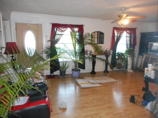 interior space with ceiling fan, a wealth of natural light, ornamental molding, and hardwood / wood-style floors