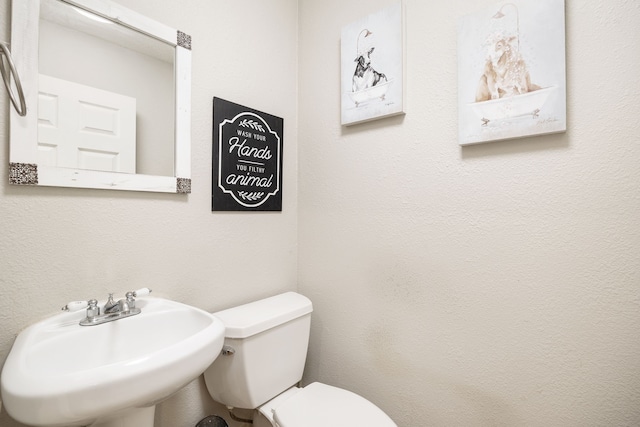 bathroom featuring a textured wall, a sink, and toilet