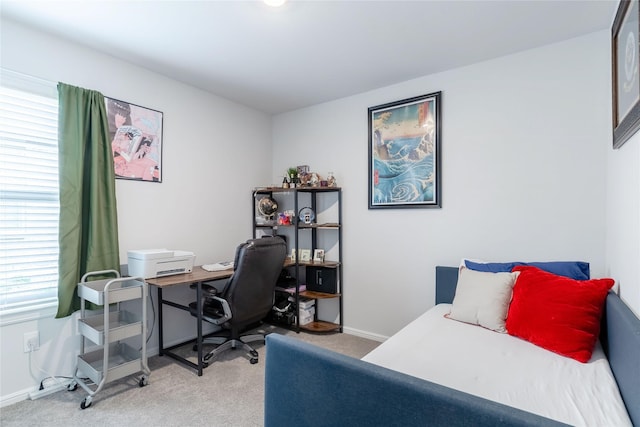 bedroom with carpet flooring