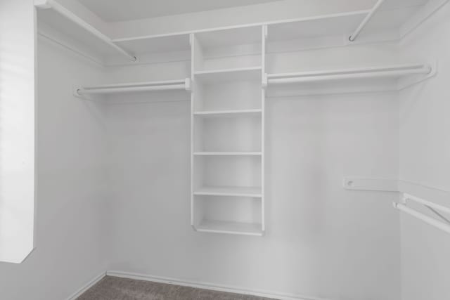 spacious closet with carpet