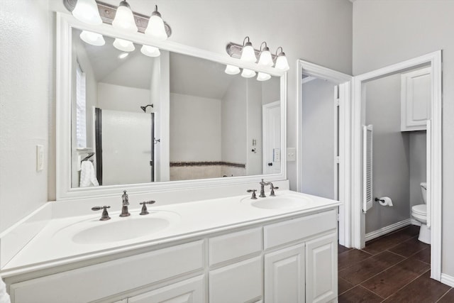 bathroom with toilet and vanity