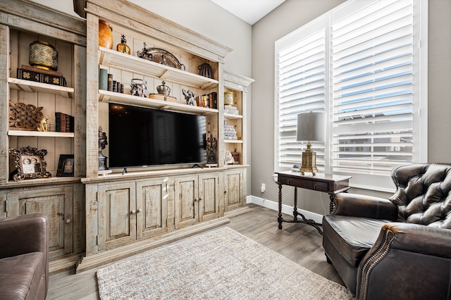 living room with light hardwood / wood-style floors