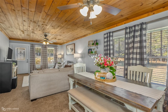 dining room featuring carpet floors, ceiling fan, and wooden ceiling