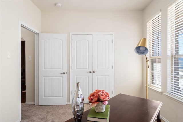 office featuring light colored carpet