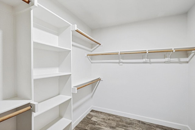 spacious closet featuring dark wood-style flooring