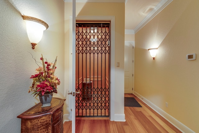 interior space featuring hardwood / wood-style floors and crown molding