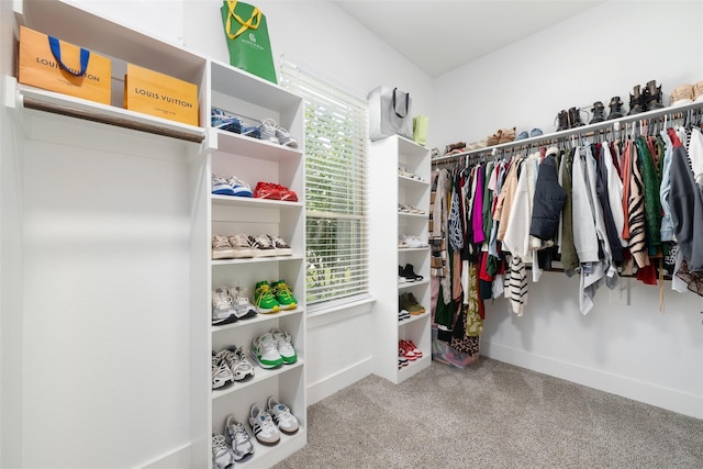 spacious closet with carpet flooring