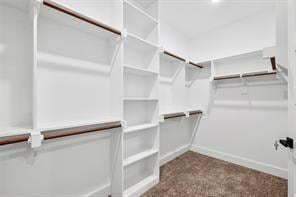 walk in closet with carpet flooring