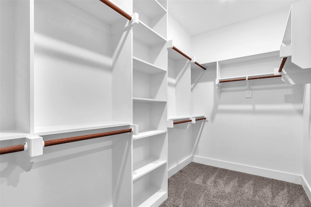 walk in closet featuring dark colored carpet