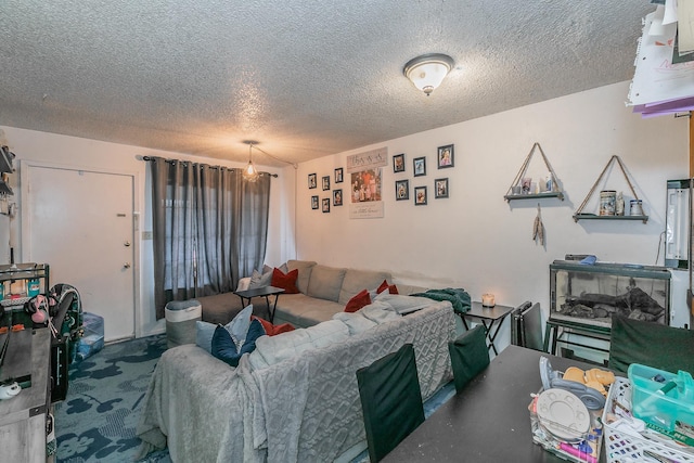 living room with a textured ceiling and carpet