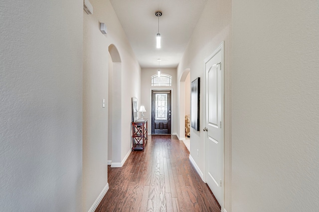 doorway to outside with a high ceiling and dark hardwood / wood-style flooring