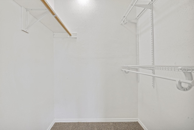 walk in closet with carpet floors