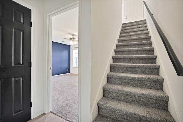 staircase featuring ceiling fan and carpet