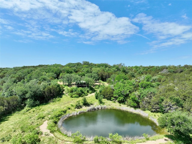 Listing photo 2 for TBD000 Sikes St, Graford TX 76449